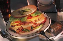 Kaj je povzročilo okužbe s salmonelo