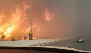 Grki stojijo v kolonah, da bi za žrtve požara darovali kri #video