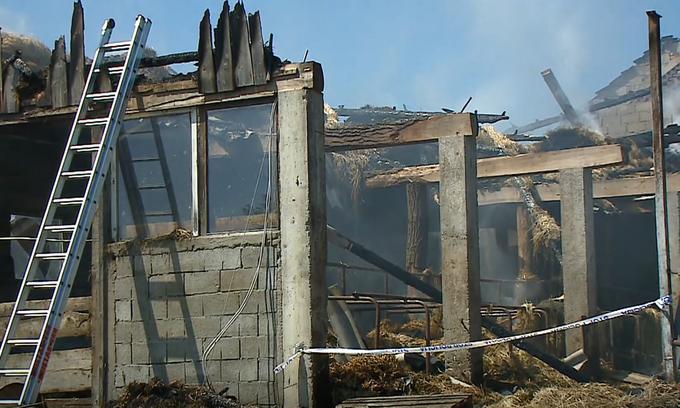 Kmetija Škorjak požar | Foto: Planet TV