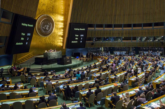 V Organizacijo združenih narodov je včlanjenih 193 držav. | Foto: Reuters