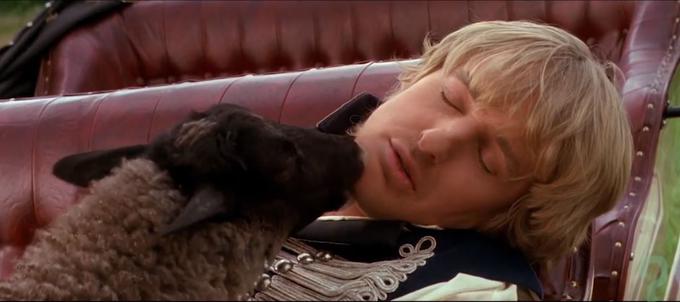 Speči Roy in "ljubeča" ovca | Foto: Printscreen Facebook