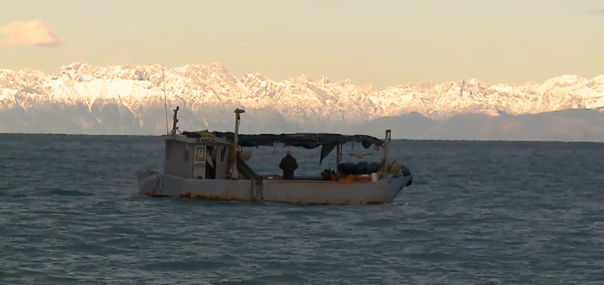 Od 30. decembra, ko je Slovenija uveljavila arbitražno razsodbo, je bilo v Piranskem zalivu 55 incidentov. Od tega 21 vplutij ribiških plovil ter 34 vplutij policijskih. | Foto: 