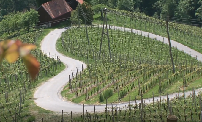 Vinogradi in znamenita podoba srca na cesti. | Foto: Planet TV