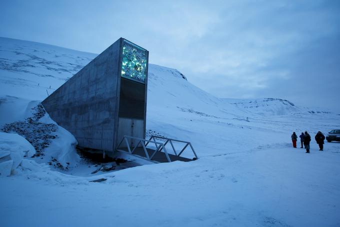 Global seed vault, Svalbard, semenska banka, bunker | Foto: Reuters