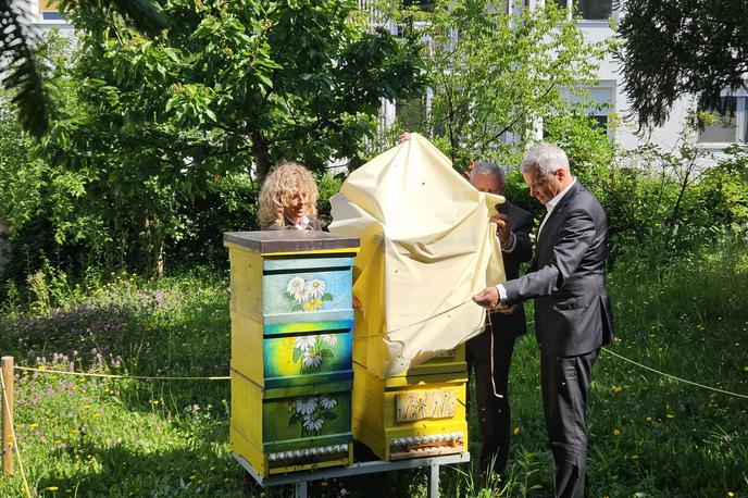 čebelarji | Foto Andreja Seršen /STA
