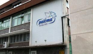 Paloma bo leto 2013 končala s pozitivnim izkupičkom