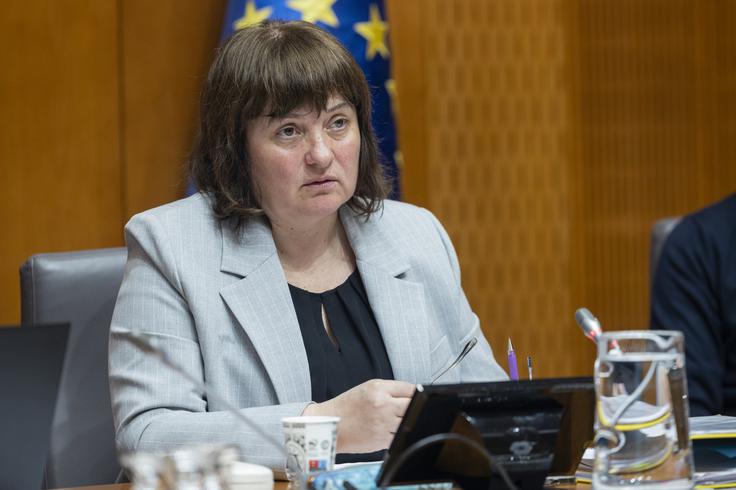 Poslanka stranke Gibanje Svoboda Tamara Vonta | Foto: STA
