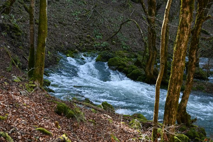 Izvir Pod pečmi, kjer voda bruha v obliki pahljače. | Foto: Matej Podgoršek
