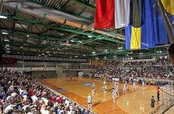 Švedska pretrd oreh