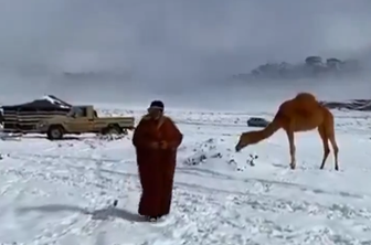 V Savdski Arabiji so se prvič po 30 letih razveselili snega