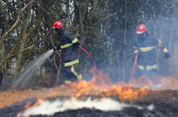 Gasilci se borijo z gozdnimi požari na jugu Francije