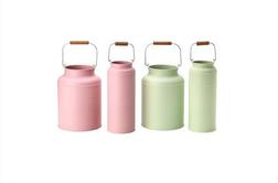 Ideja za dom: Golida za mleko ali vaza za rože?