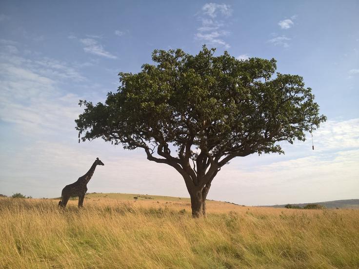 "Tujci smo po njihovem izjemno bogati, čeprav življenje za nas v Afriki še zdaleč ni poceni. Zelo zgovorne so tudi cene safarijev, ki so za tujce tudi do desetkrat višje od cen za domačine." | Foto: 
