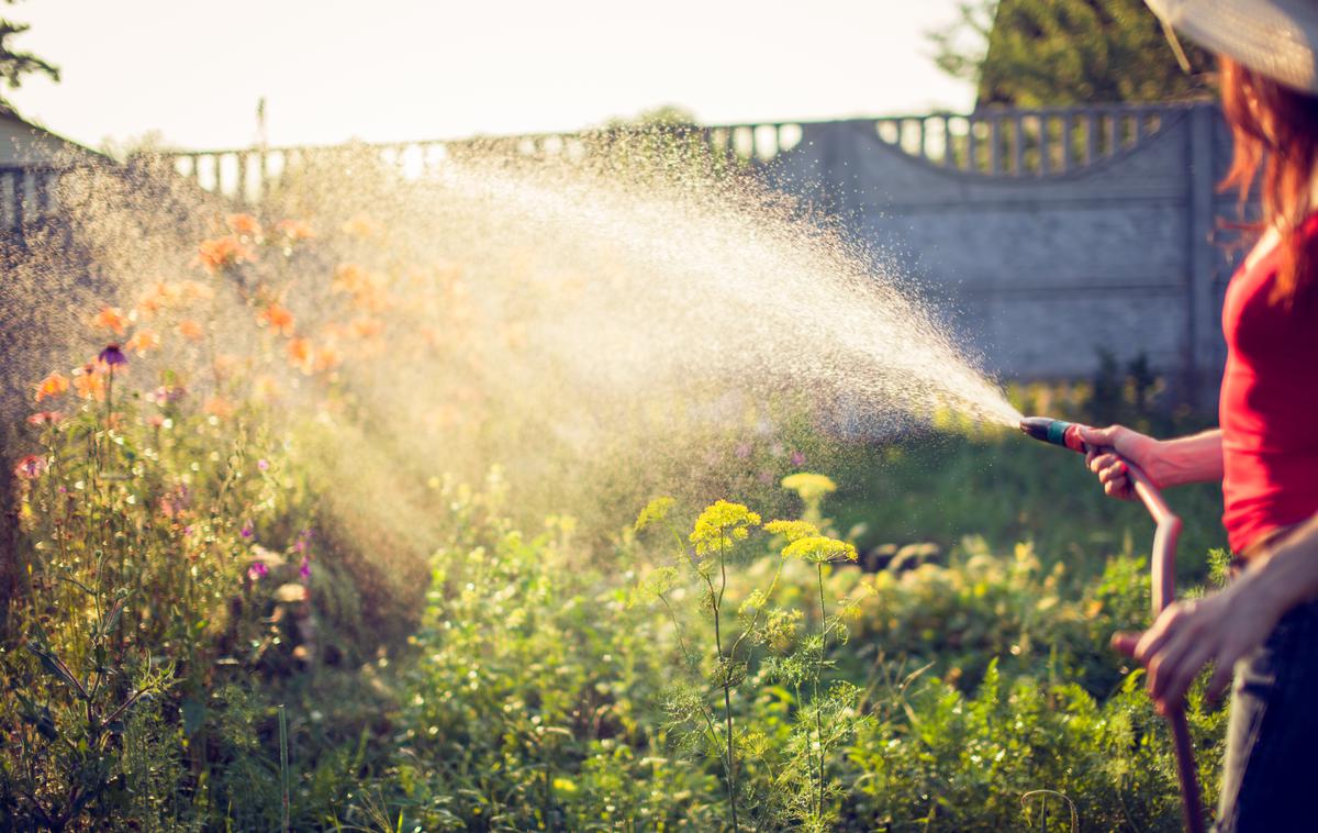 zalivanje vrta | Foto Shutterstock