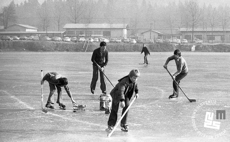 Koseško barje, 1976 | Foto: Nace Bizilj, hrani: MNZS