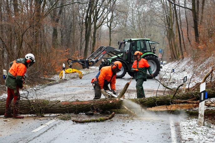 neurje cesta podrta drevesa delo na cesti nemčija | Gasilci in druge nujne službe so morale po celi državi več kot tisočkrat na teren, kjer so med drugim umikali podrta drevesa in pomagali pri odkritih strehah. | Foto Reuters