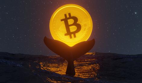 Po 14 letih prodal vse svoje bitcoine. Preverite, koliko milijard je zaslužil.