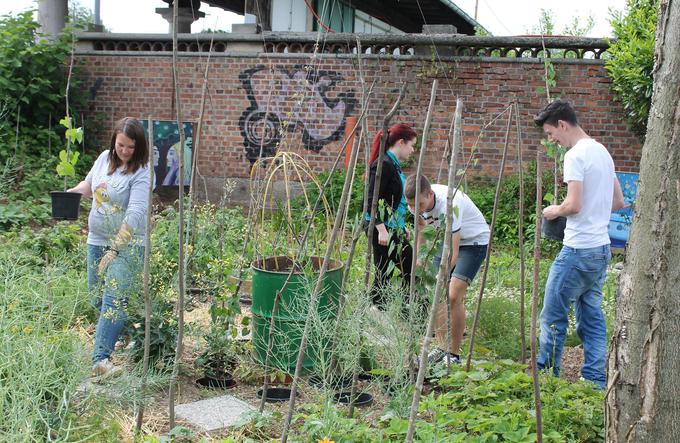 Skupno urejanje šolskega vrta krepi pozitiven odnos do okolja in zavest o vrednosti hrane. | Foto: 
