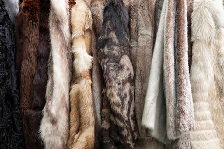 moda | Foto: Shutterstock
