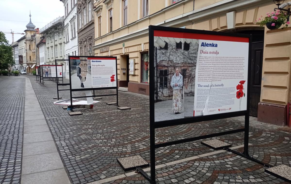 plakati vandali Gallusovo nabrežje | Vandali so poškodovali plakate  društva bolnikov s krvnimi boleznimi. | Foto Bralec