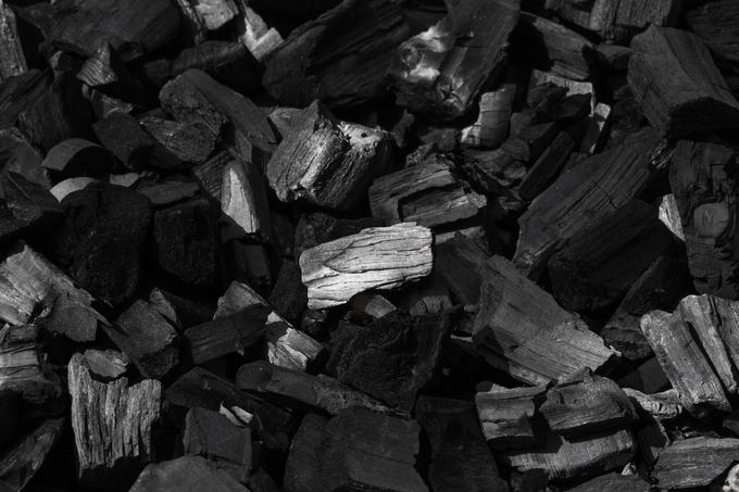 V močvirjih sta obsežne skladovnice drevesnih debel pogoltnila voda in blato, sloji lesa so se nalagali eden na drugega in ob velikem pritisku skozi milijone let začeli ustvarjati premog.  | Foto: Thinkstock