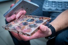 Maks Pogačnik, Molinet