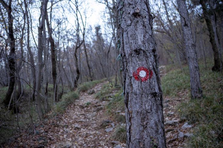 Pot do otliškega okna je lepo markirana. | Foto: Matej Podgoršek
