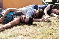 Kako vaš znak horoskopa prenaša alkoholnega mačka?