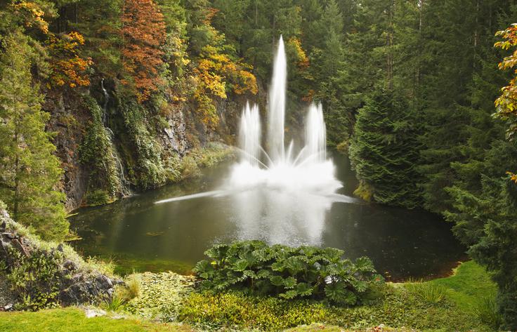 butchart vrtovi | Foto: Thinkstock