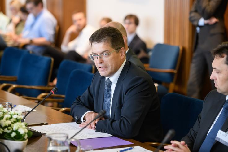Janez Lenarčič | Foto: STA ,