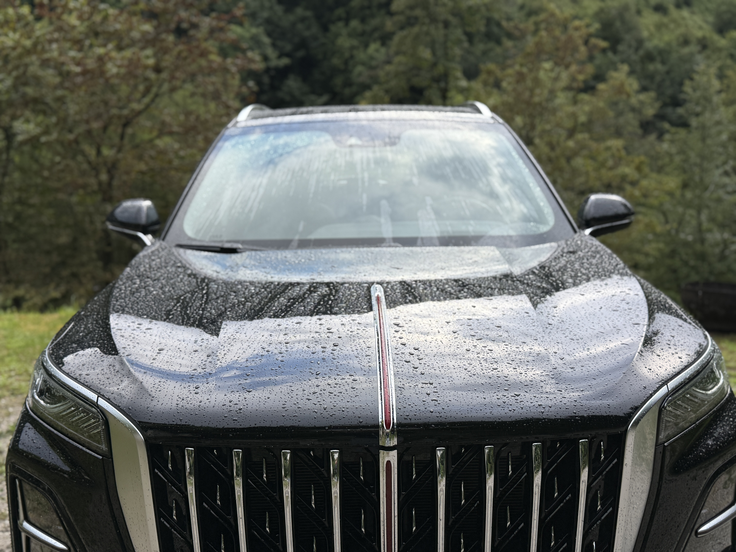 Hongqi HS3 | Foto: Gregor Pavšič