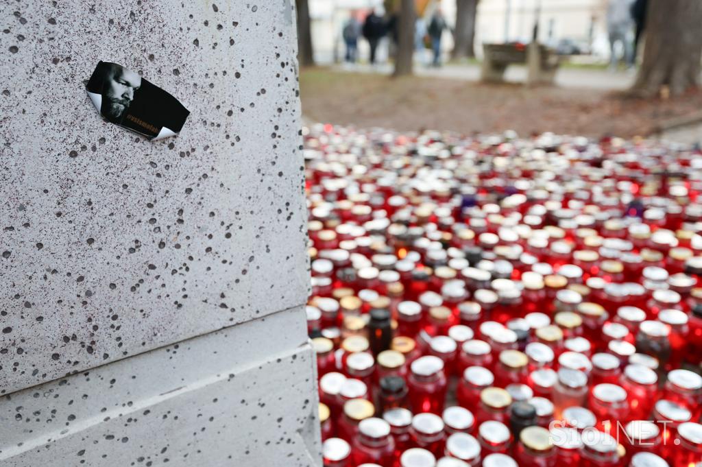 Protestni shod Novo mesto