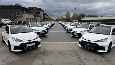 Japonski strupeni malček: okrog 60 Slovencev se je z njim zbralo v Krškem #foto