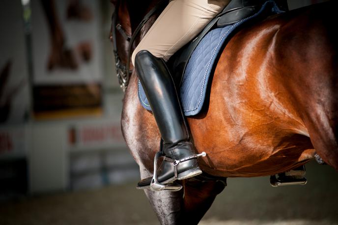 Konj | Fotografija je simbolična. | Foto Shutterstock