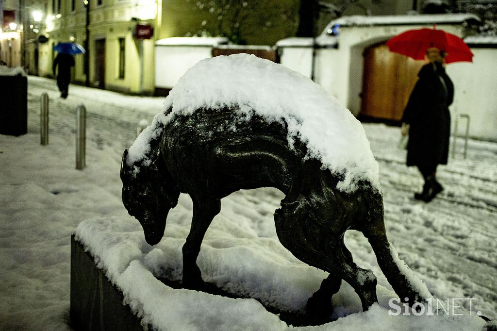 sneg v Ljubljani