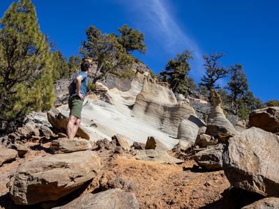 Počitniški pohod po luni in začaranem gozdu na otoku Tenerife #video