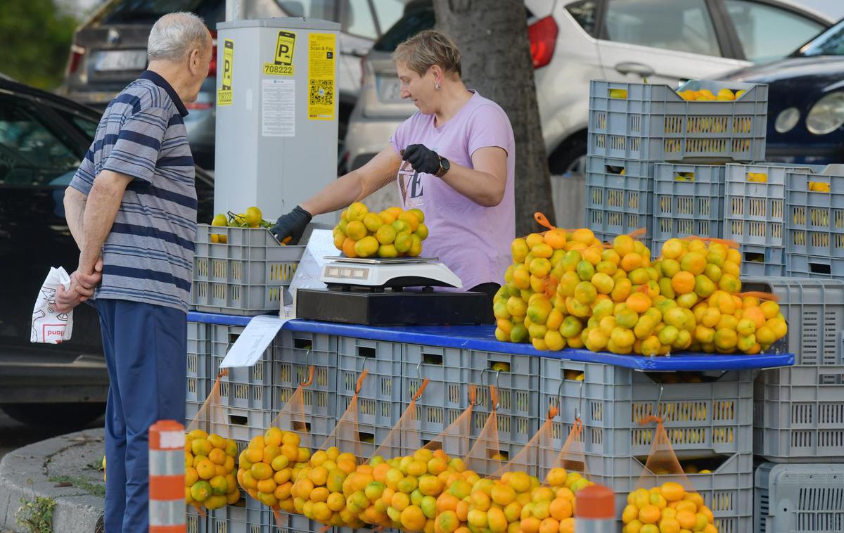 Mandarina. Prodaja mandarin. | Foto Hrvoje Jelavic/PIXSELL