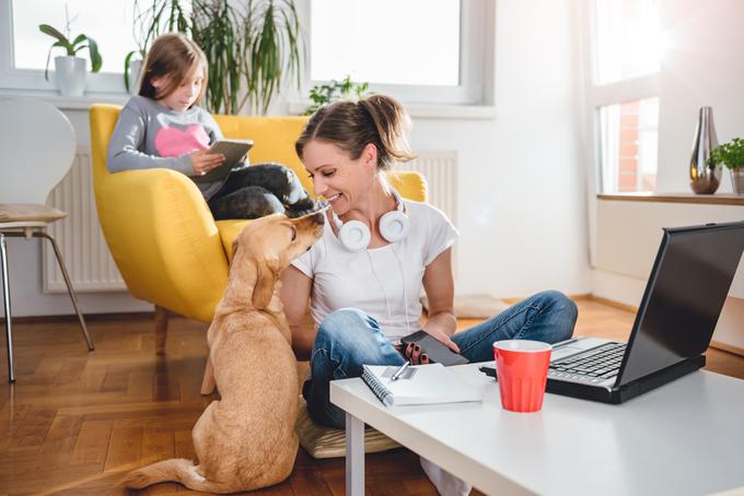 telefon poletje dopust | Foto: Shutterstock