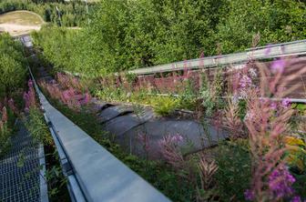 Zaraščeno skakalnico bodo obnovili, skakali bodo prek 160 metrov