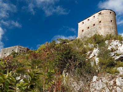 Stampedo na Haitiju usoden za več deset ljudi