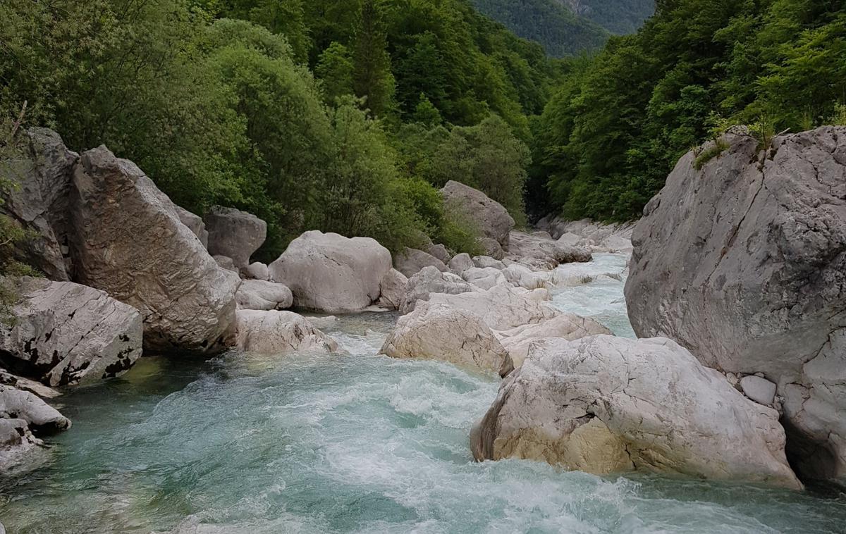 Iskanje pogrešanega Britanca | Šesti dan po začetku iskanja so našli truplo pogrešanega Britanca. | Foto PU Nova Gorica