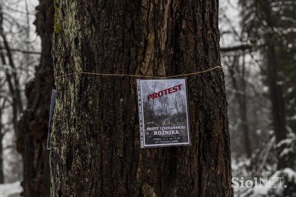 Protest proti sečnji gozda na Rožniku