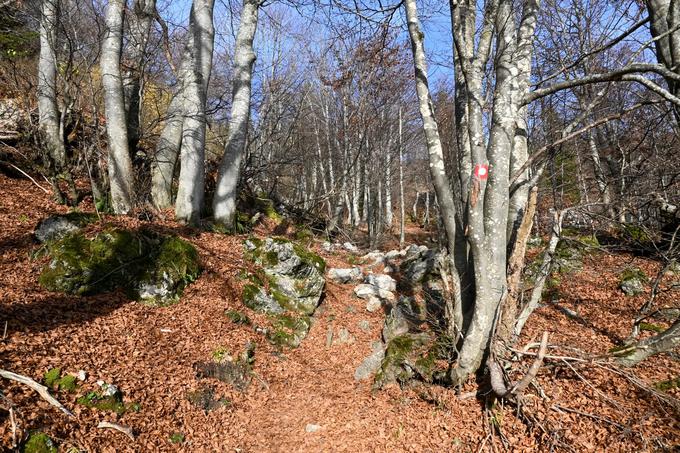 Vzpon s smučišča Soriška planina | Foto: Matej Podgoršek