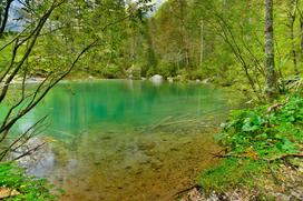 Koželjeva pot