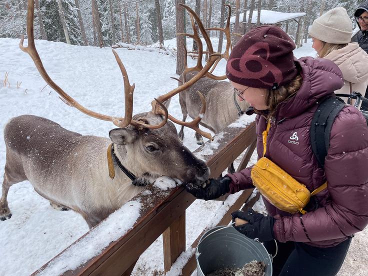 Neja Sirc, Prek meja, narava Finska | Foto: osebni arhiv Neje Sirc