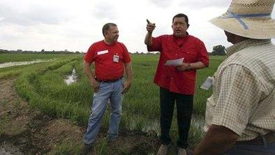 Chavez grozi z nacionalizacijo tovarn riža