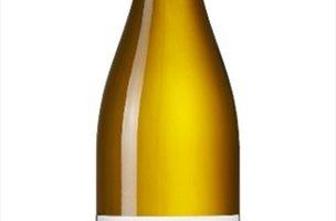 V Burgundiji stavijo na terroir
