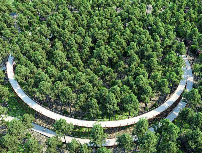 Limburg, Belgija: kolesarska pot skozi krošnje dreves (arhitekti: BuroLandschap) - v pripravi. | Foto: BAB - Bicycle Architecture Biennale