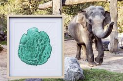 Gangin odtis za dober namen