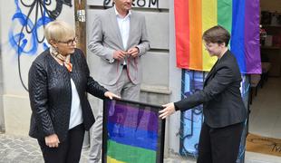 Kljub očitnemu dejanju sovraštva bo odgovarjal le za krajo